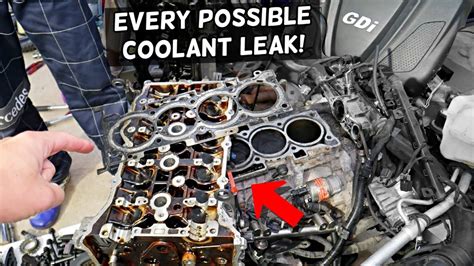 Most common coolant leaks